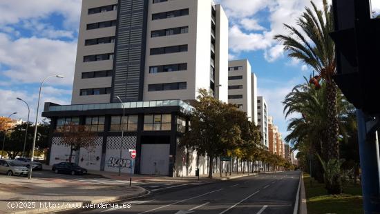  GRAN LOCAL A DOS CALLES EN ALQUILER - ALICANTE 