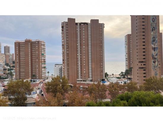  Piso en Benidorm zona Rincon de Loix llano, 110 m2. - ALICANTE 