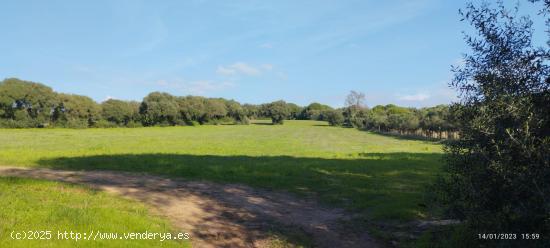  Terreno junto a campo de golf de Monteenmedio - CADIZ 