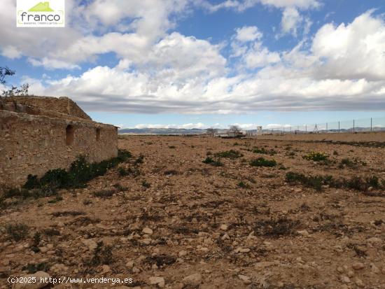 TERRENO CON CASA EN RUINAS - MURCIA