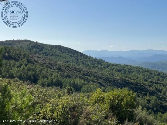  Finca rústica de secano en Termino de l'Alcora grande en zona Mas de Marco o Cruz de Torremundo - C 