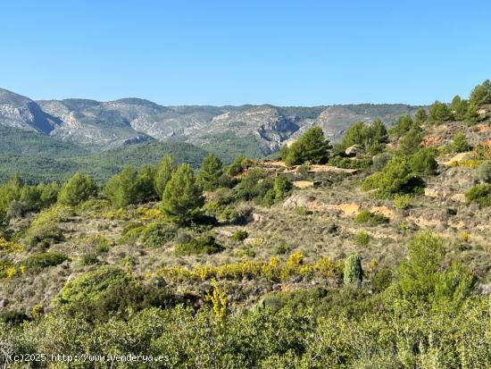 Finca rústica de secano en Termino de l'Alcora grande en zona Mas de Marco o Cruz de Torremundo - C