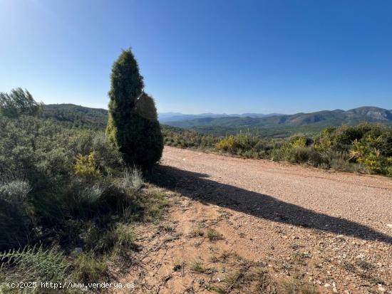 Finca rústica de secano en Termino de l'Alcora grande en zona Mas de Marco o Cruz de Torremundo - C