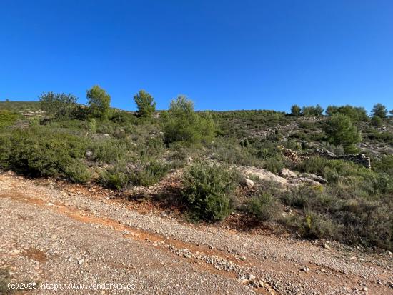 Finca rústica de secano en Termino de l'Alcora grande en zona Mas de Marco o Cruz de Torremundo - C