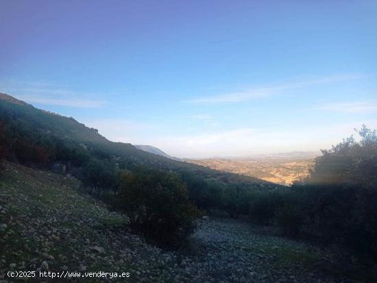 SE VENDE FINCA RUSTICA EN ZAHARA DE LA SIERRA - CADIZ