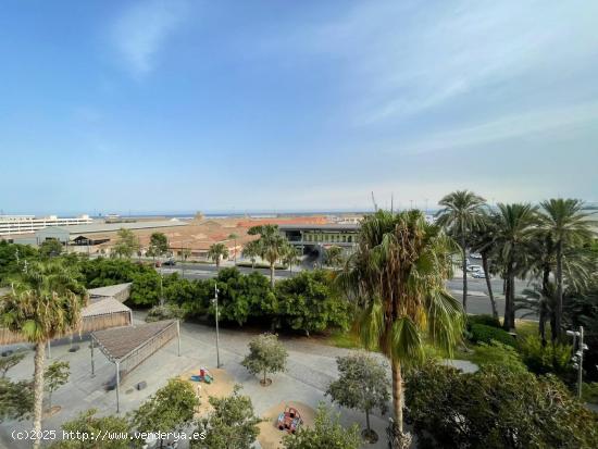  Amplia vivienda en el Edificio Loring - ALICANTE 