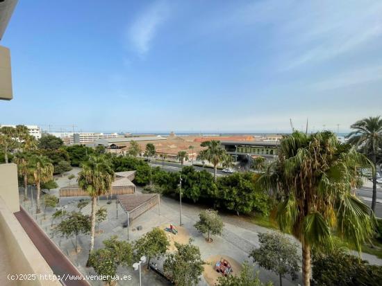 Amplia vivienda en el Edificio Loring - ALICANTE