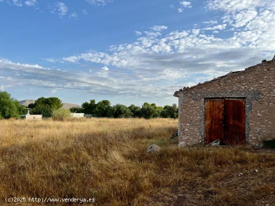 GRAN TERRENO EN PEÑA RUBIA - ALICANTE