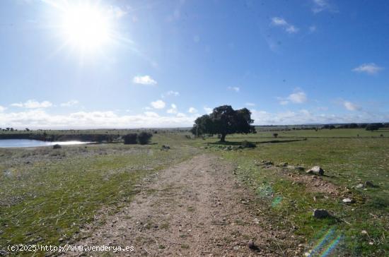  Urbis te ofrece suelo en venta en Buenavista, Salamanca - SALAMANCA 