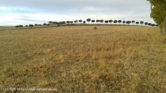 Urbis te ofrece una parcela DOTACIONAL en venta en zona Campo de Golf, Villamayor, Salamanca. - SALA