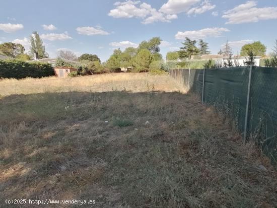 Terreno totalmente llano y vallado ideal para construir casa independiente.. - MADRID