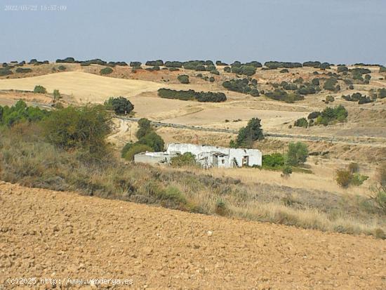  Preciosa finca de 50.000 m2 con casa - MADRID 