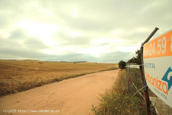 PARCELA CTRA. OLIVENZA. - BADAJOZ