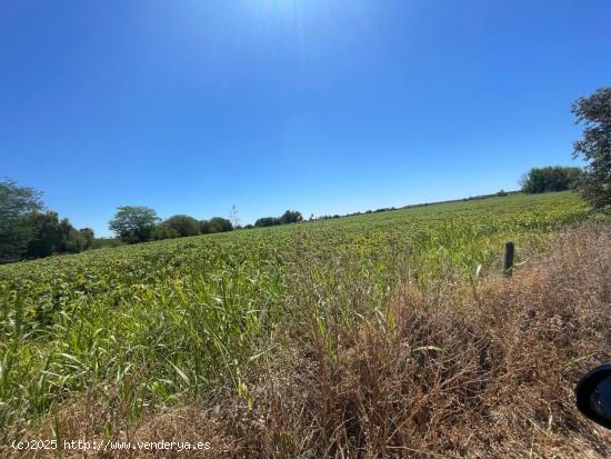 FINCA RUSTICA DE REGADIO DE 4 HA - BADAJOZ