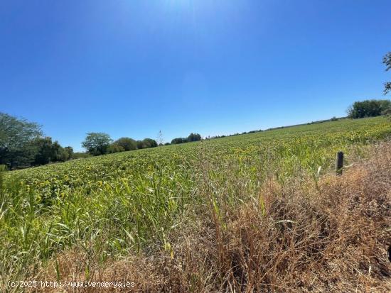 FINCA RUSTICA DE REGADIO DE 4 HA - BADAJOZ