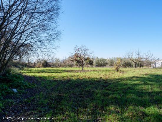 Finca Rústica en Alcaudete (Jaén) - JAEN