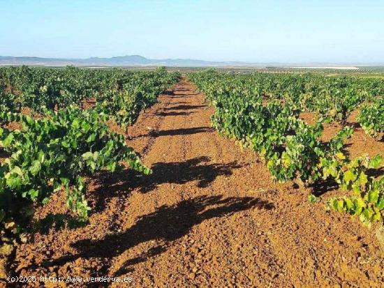 Terreno rústico en venta en valdelasierpe - BADAJOZ