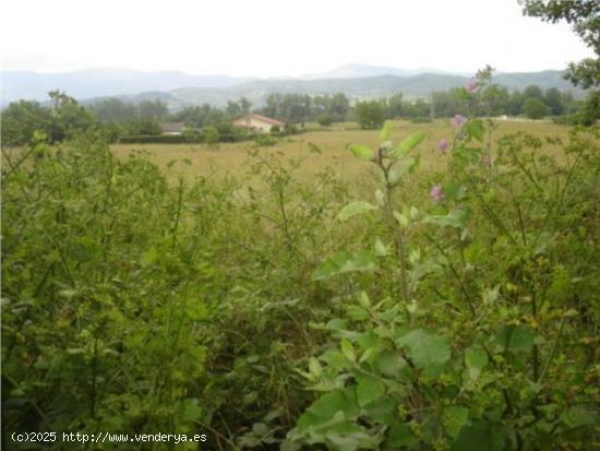 Venta de Terreno Urbano en Valle  de Mena. - BURGOS