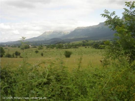 Venta de Terreno Urbano en Valle  de Mena. - BURGOS