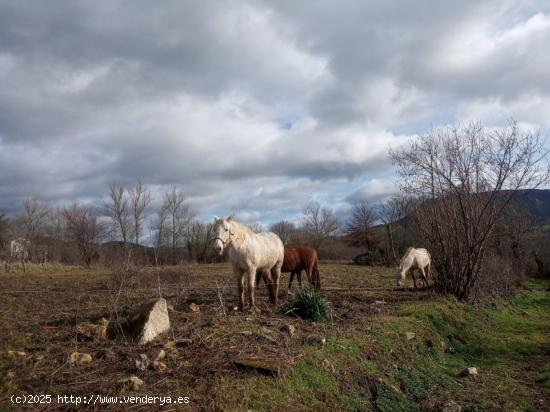  Se Vende Terreno Urbano en Valle de Mena - BURGOS 