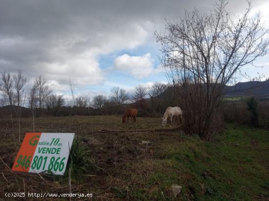 Se Vende Terreno Urbano en Valle de Mena - BURGOS