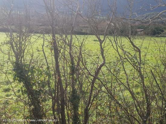 Se Vende Terreno Urbano en Valle de Mena - BURGOS