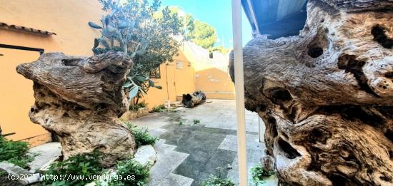 BAR CON TERRAZA EN PALMANOVA EN TRASPASO - BALEARES