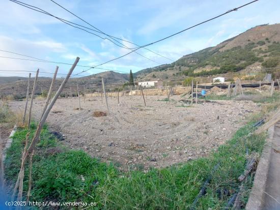  Finca rustica por la zona de castala en Berja - ALMERIA 