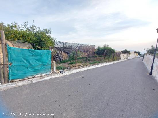 Finca rustica por la zona de castala en Berja - ALMERIA