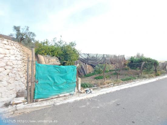 Finca rustica por la zona de castala en Berja - ALMERIA