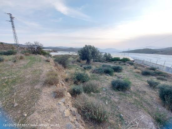 Parcela en venta en la zona de Castala. - ALMERIA