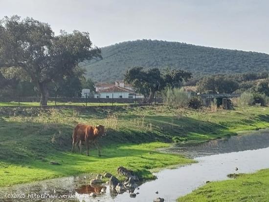 Impresionante finca - cortijo - CACERES