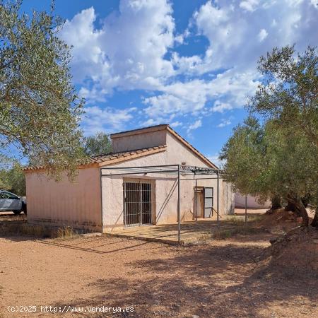  Finca rustica con casita - TARRAGONA 