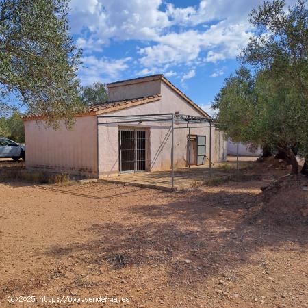 Finca rustica con casita - TARRAGONA