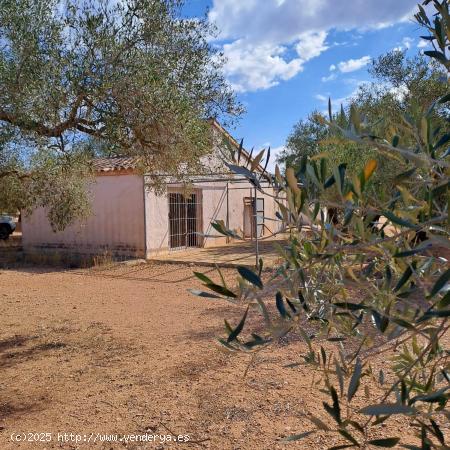 Finca rustica con casita - TARRAGONA