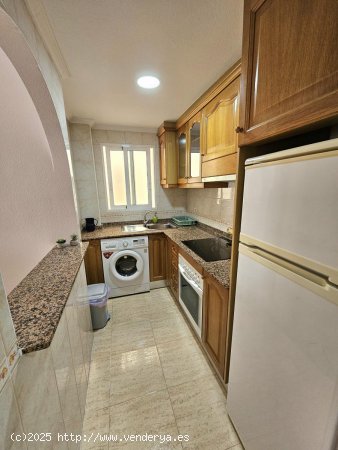 Apartamento en alquiler en Guardamar del Segura (Alicante)