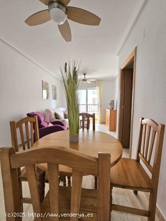 Apartamento en alquiler en Guardamar del Segura (Alicante)