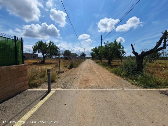  ¡Construye tu Hogar en un Paraíso Rural! Solar en Marratxí:  Oportunidad - BALEARES 