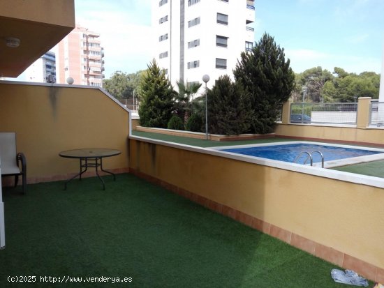  Apartamento en venta en Guardamar del Segura (Alicante) 