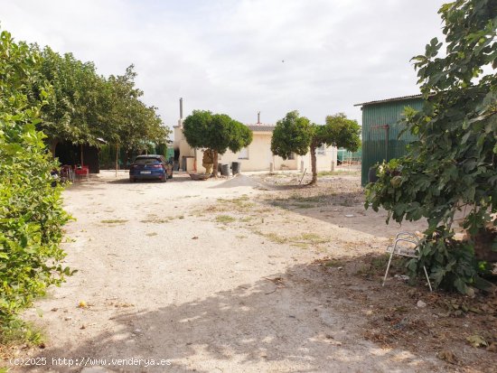 Finca en venta en Guardamar del Segura (Alicante)