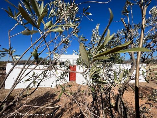 CASETA RÚSTICA CON PARCELA EN VILLAR DEL ARZOBISPO - VALENCIA