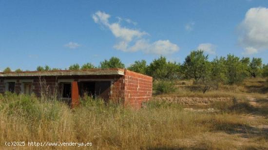  FINCA RÚSTICA EN ELS GUIAMETS - TARRAGONA 