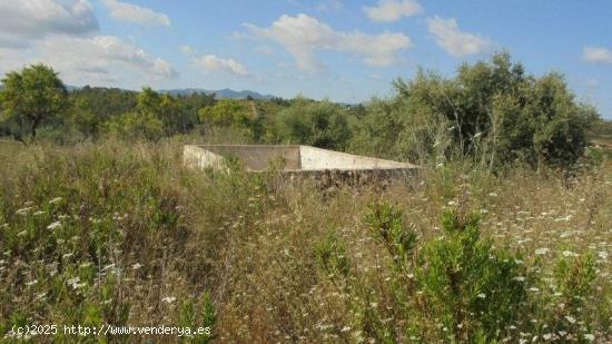 FINCA RÚSTICA EN ELS GUIAMETS - TARRAGONA