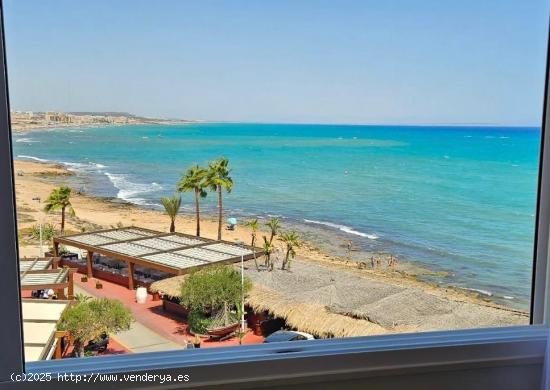  Apartamento completamente reformado en primera línea de Cabo Cervera, Torrevieja. - ALICANTE 