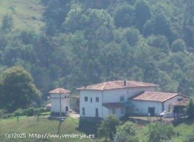 Venta de Palacio de Borines con su Palomar - ASTURIAS