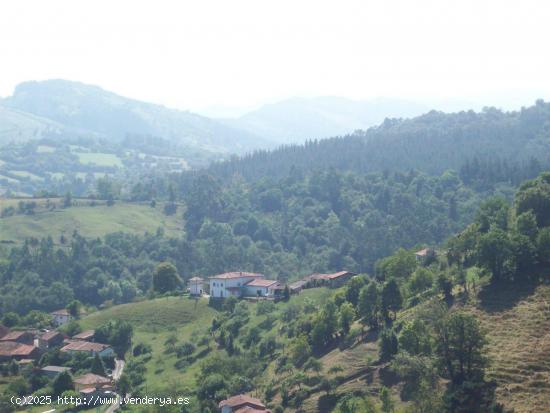 Venta de Palacio de Borines con su Palomar - ASTURIAS