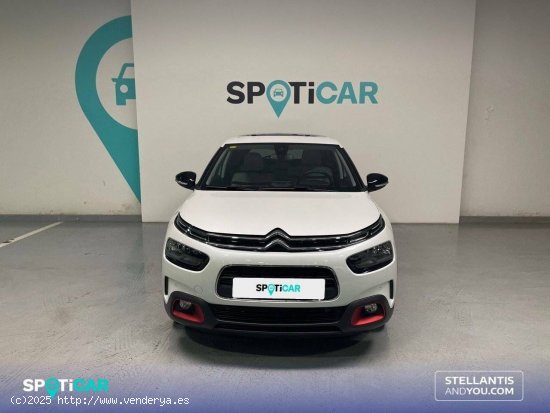 Citroën C4 Cactus  PureTech 81KW (110CV) S&S EAT6 Shine - Oleiros