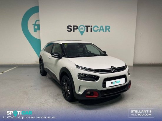 Citroën C4 Cactus  PureTech 81KW (110CV) S&S EAT6 Shine - Oleiros