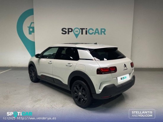 Citroën C4 Cactus  PureTech 81KW (110CV) S&S EAT6 Shine - Oleiros