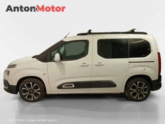 Citroën Berlingo  Talla M BlueHDi 100 Feel - VITORIA